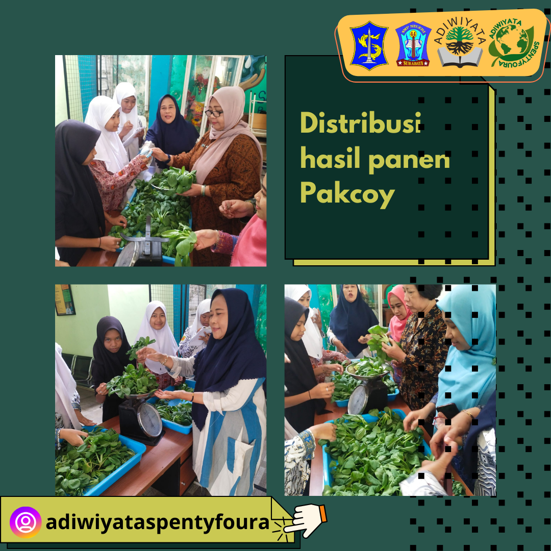 Asyiknya berkebun dengan media hidroponik dan menikmati hasil panen